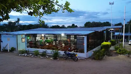 Iglesia Catolica