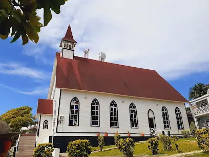 Mirador Paisajístico Torre First Baptist Church