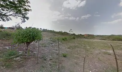 Iglesia las margaritas