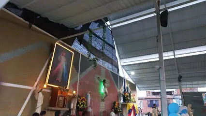 Santa Laura Montoya Palmira
