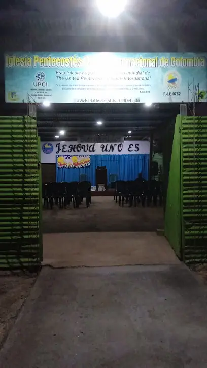 IPUIC
